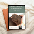 How to Harvest Worm Castings - 3 Simple Methods (QUICK GUIDE)