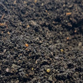 Red Wiggler Cocoon Bedding (Biologically Active Worm Bin Starter Mix)