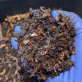 Red Wiggler Starter Colony (Live Composting Worms)