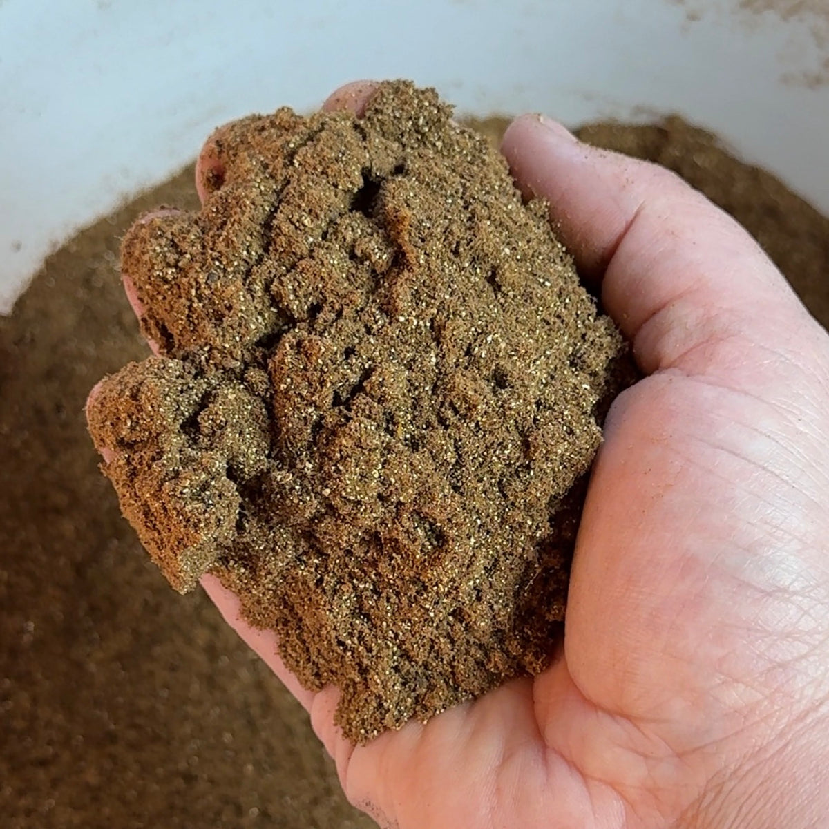 Worm Powder Veggie Powder (Composting Worm Supplement) – CHERENE'S GREENS
